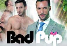 Bad cup ? andy star, denis vega (2018)